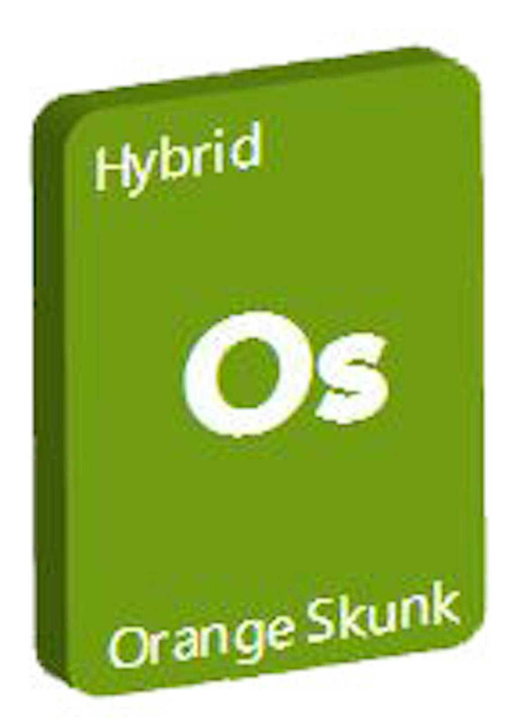 New Strains Alert White Lightning, Stardawg, Orange Skunk, and Candy